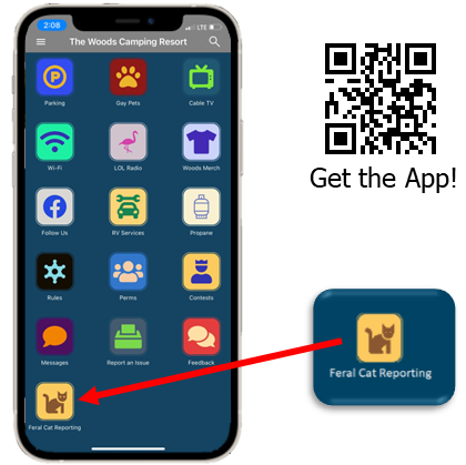 Cat reporting tile Cat reporting on The Woods app