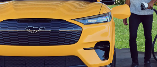 Mustang Mustang getting charged